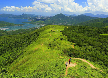自然与城市｜郊野公园遍地开花，但还缺少什么？