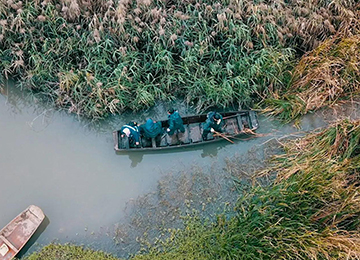 自然与城市｜拍摄湿地，尝试与自然精确调校